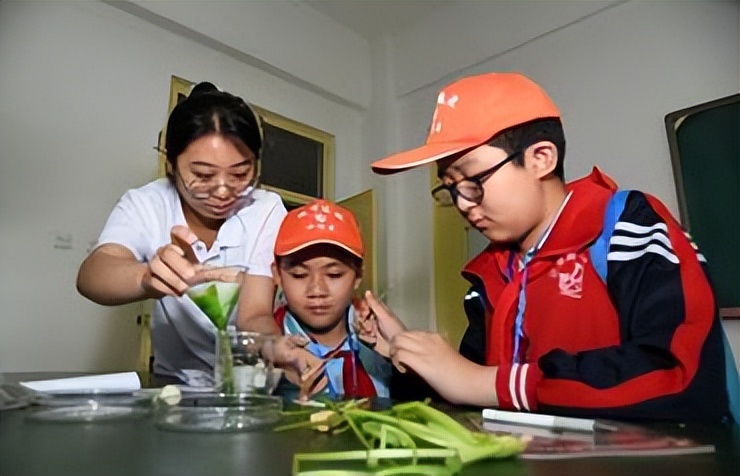 小学科学科普活动,热爱科学崇尚科学科普讲解