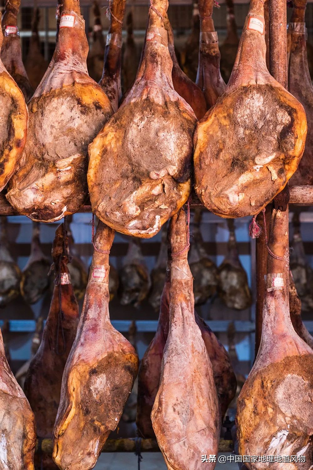 中国的罐头在哪里,中国罐头分布地区