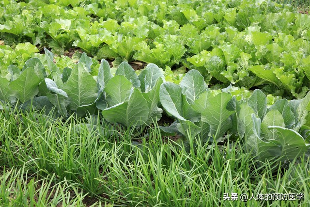 口腔溃疡的治疗和预防方法介绍,咬嘴了用什么药能预防溃疡