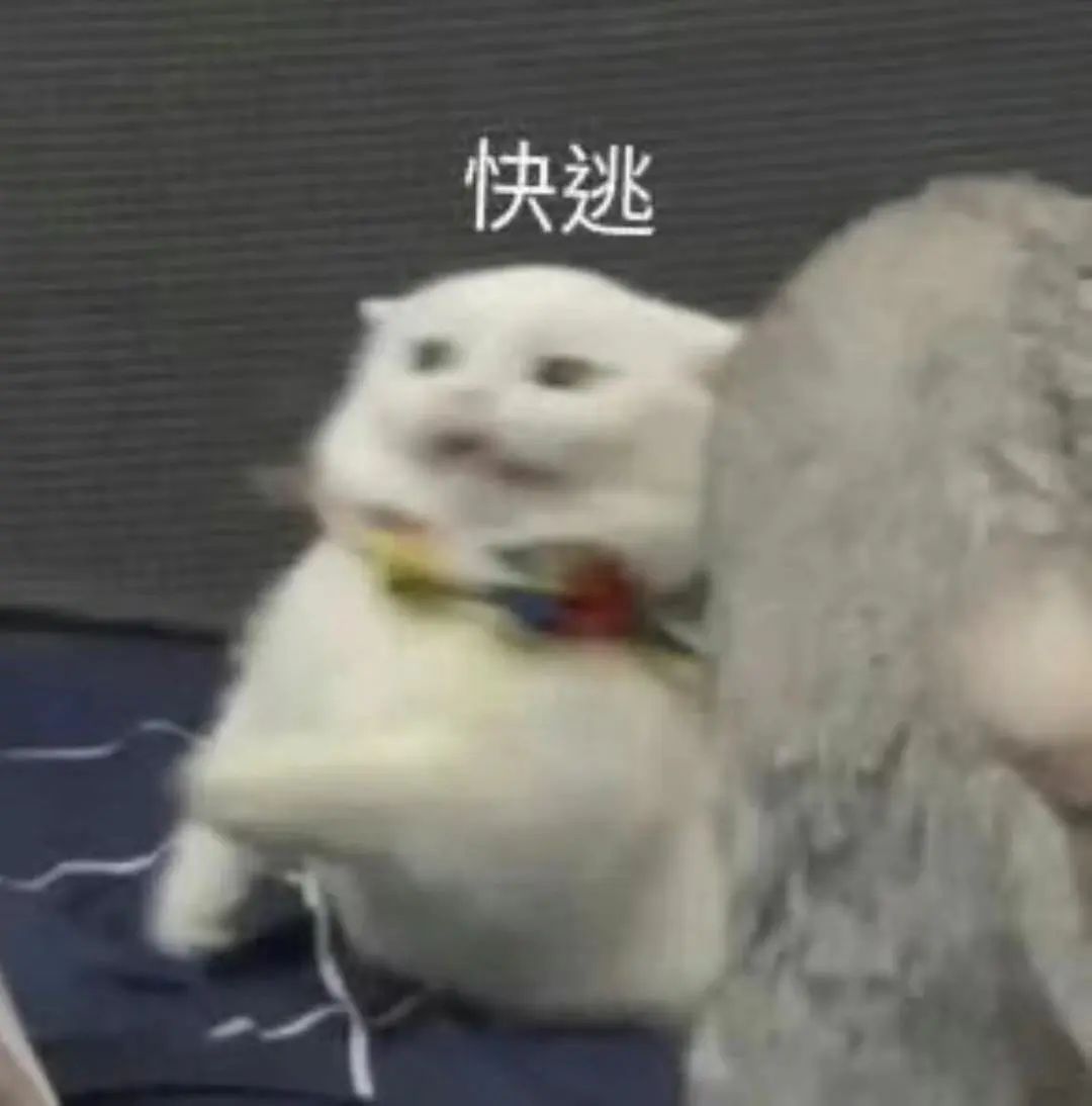 五一假期西安旅游攻略,五一假期高速免费攻略