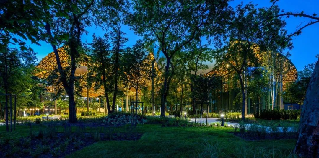 与藤本壮介一起走进金色叶子‘殿堂’，匈牙利音乐之家