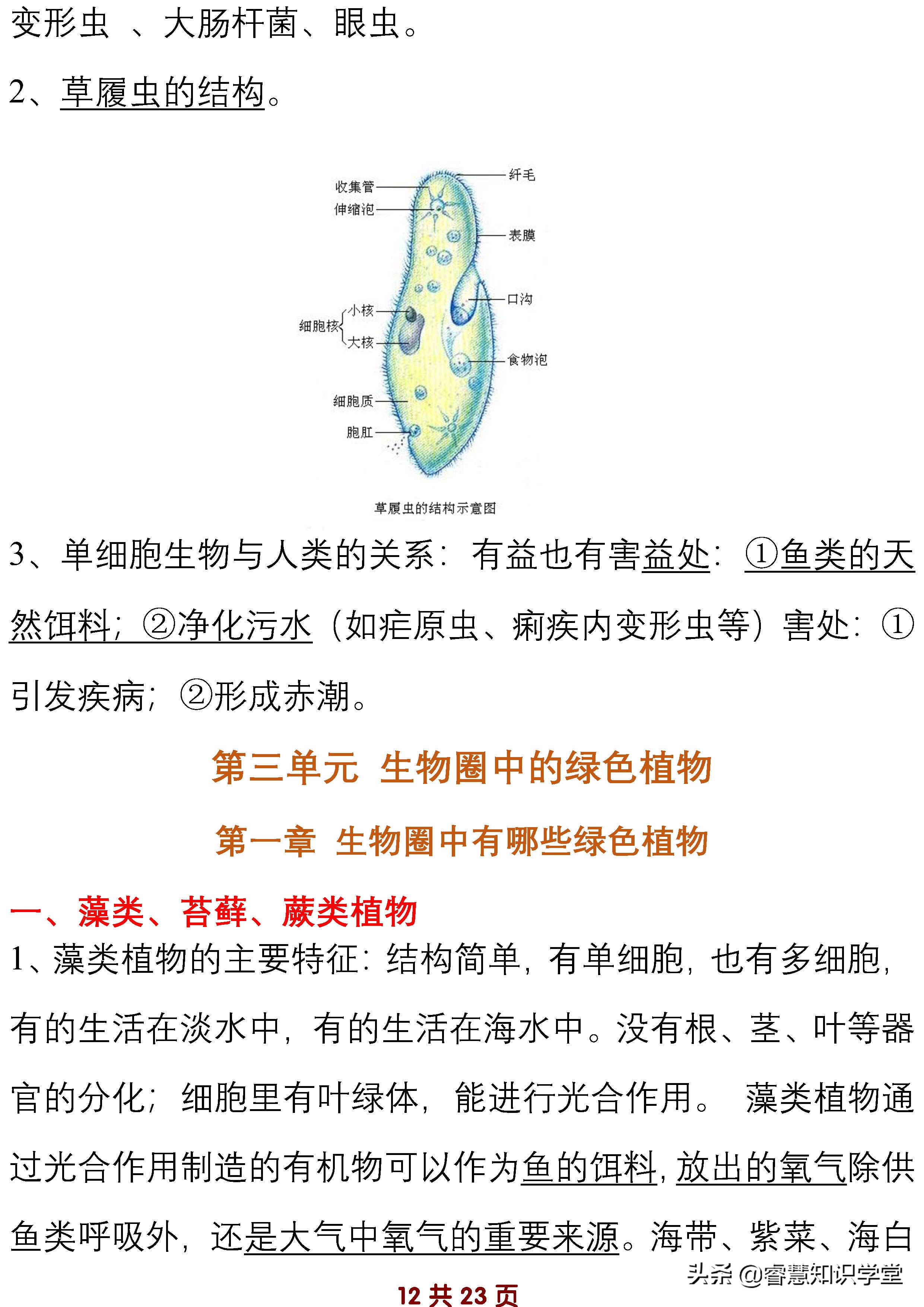 初中七年级生物知识点归纳总结,七年级上下册生物必考知识点
