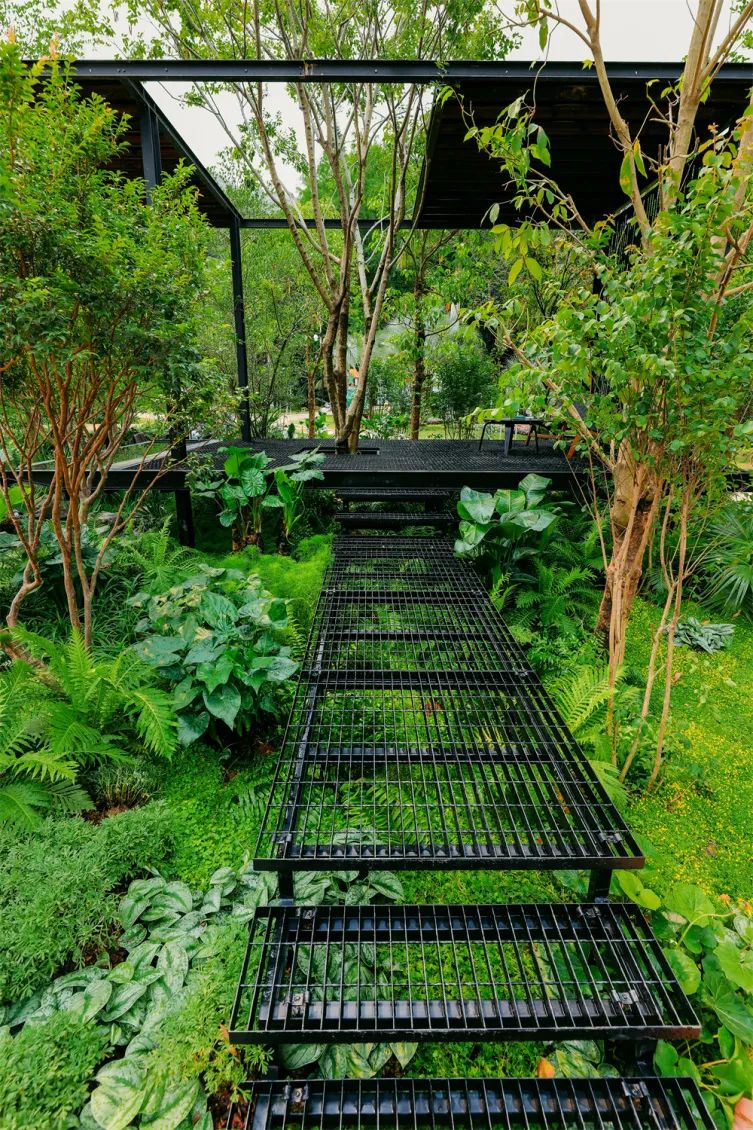 切尔西花展最佳花园,切尔西花展金奖设计