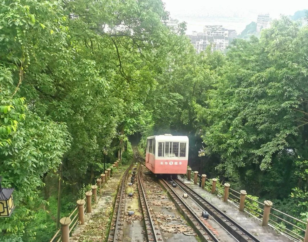 重庆长寿周围赏花旅游景点,重庆长寿旅游景点攻略