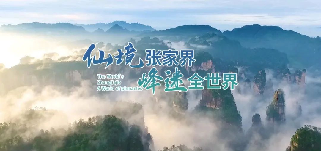 达摩鲨为什么不怕虎鲸,能和虎鲸大白鲨斗的是达摩鲨吗