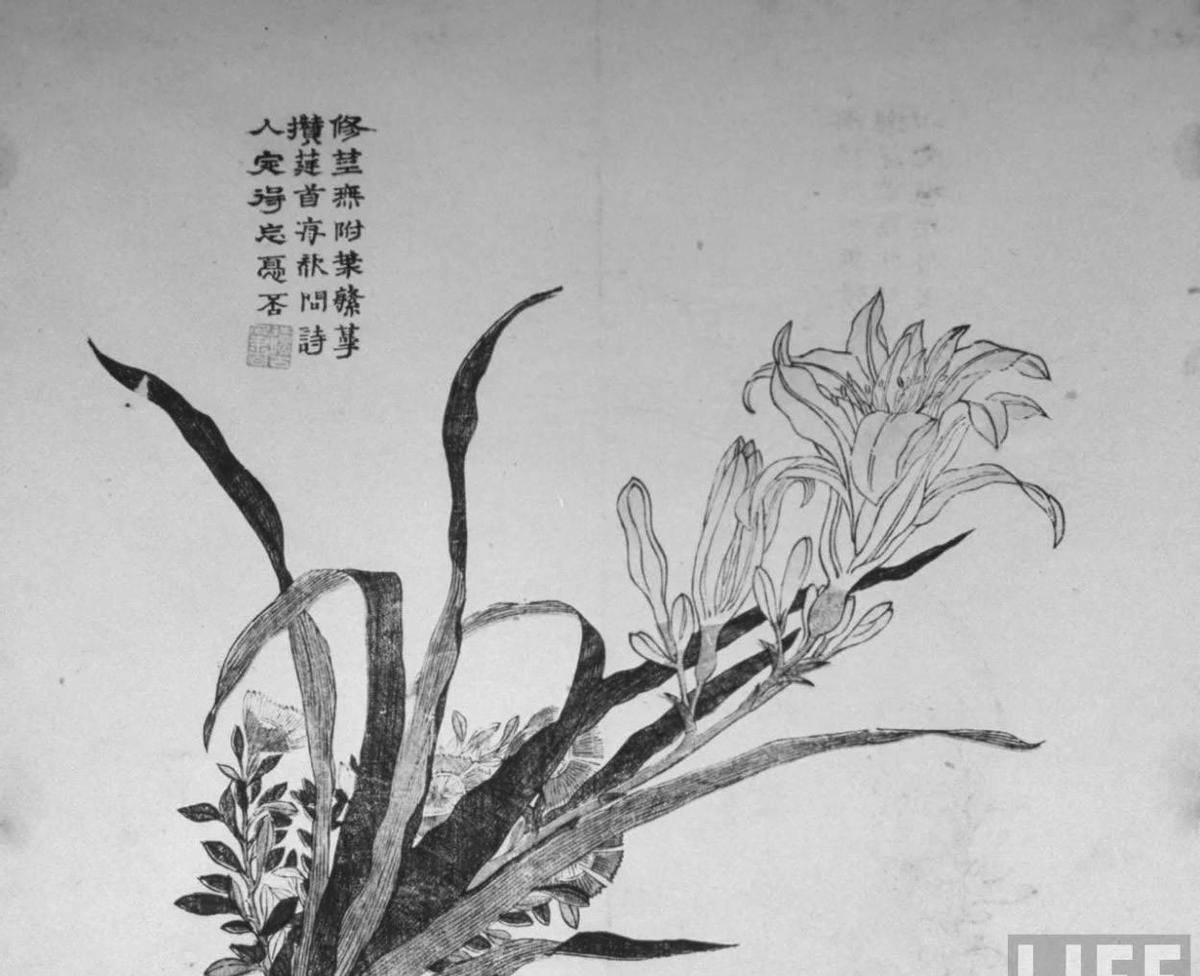 侵华日军残酷*行暴**，女子为活命脱下衣服让日本人拍摄，*辱侮**至死3