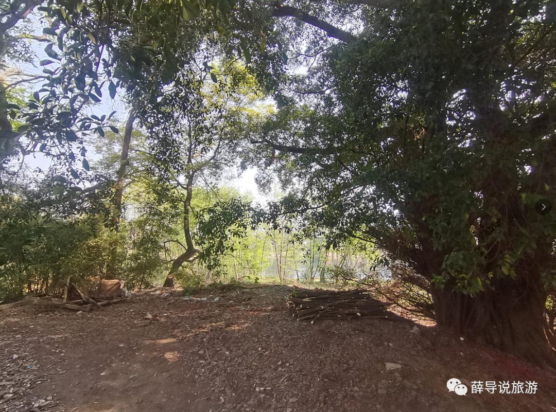 唐江记忆,顺流逆流男声新版沧桑