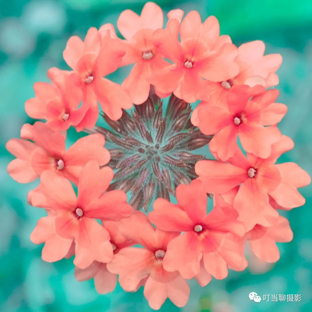 iphone7拍照较其他手机的优势,iphone7与其他手机对比图