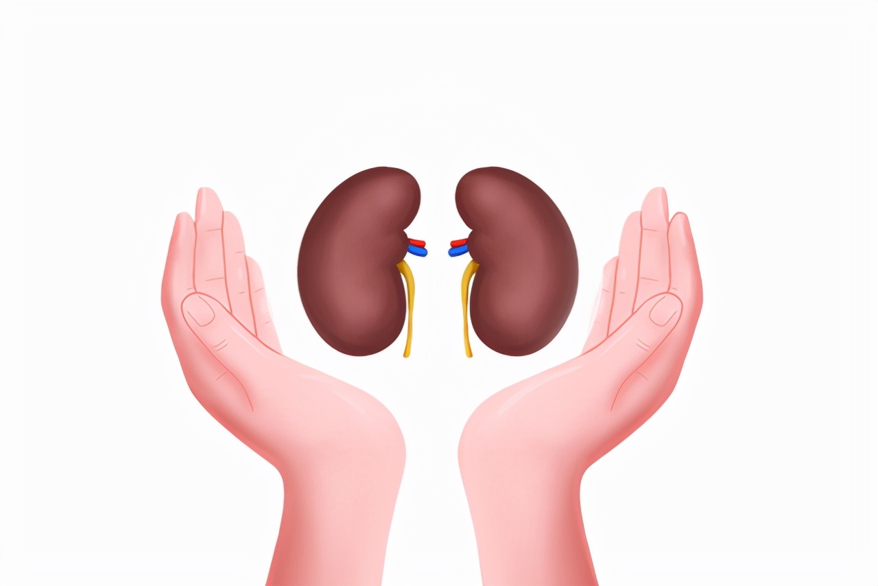 14种食物最补肾壮阳效果堪比药物,男性补肾补脾的食物