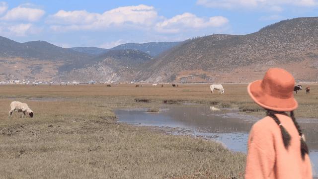 自媒体赚钱方法轻松月赚1万,能赚钱的16个自媒体