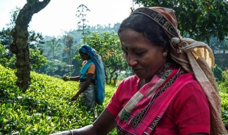 月经耽误工作怎么办？每年有10万印度女人割掉子宫，只为多挣钱！