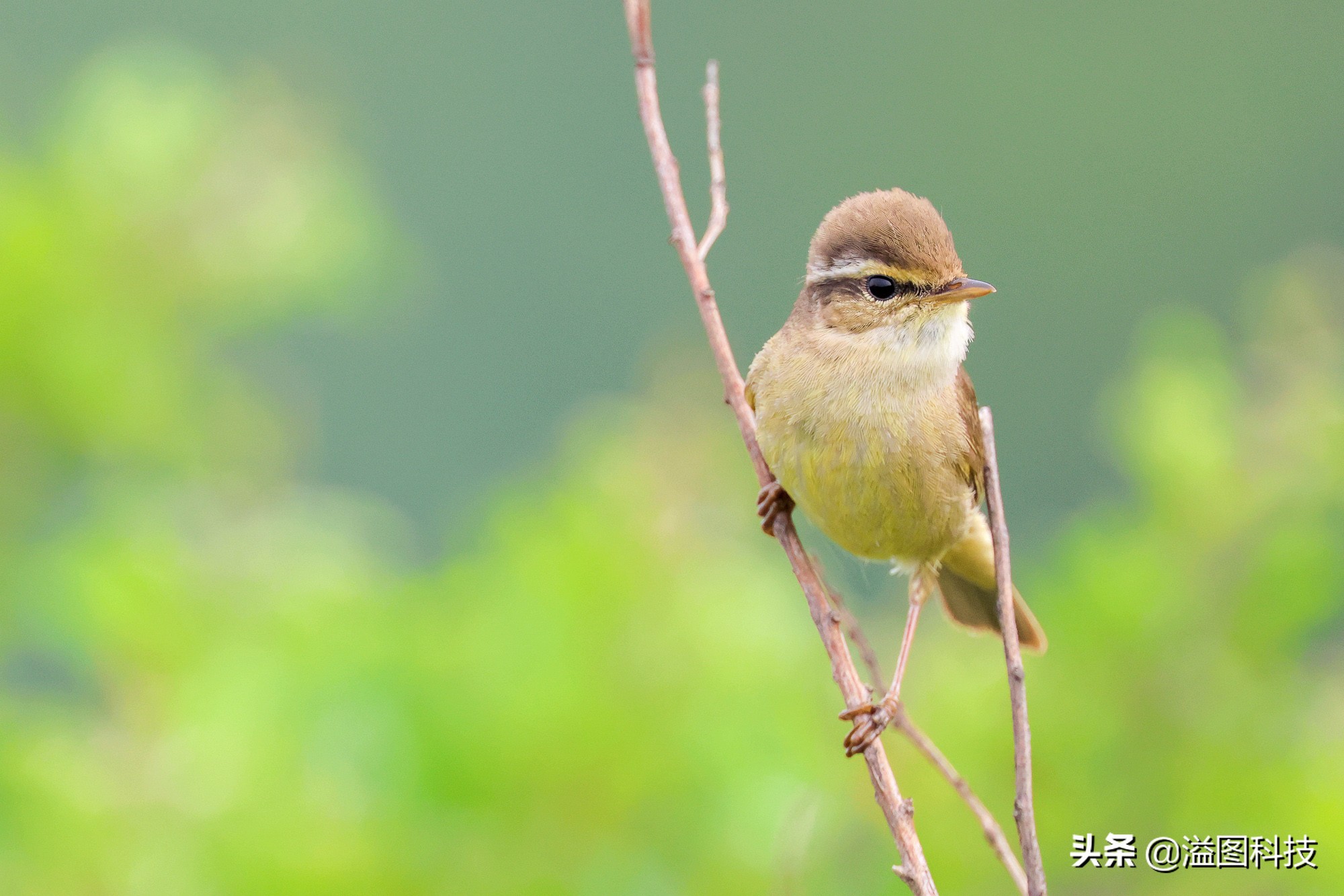 eosr7微单详细测评,佳能r7这款相机真的是值得买吗