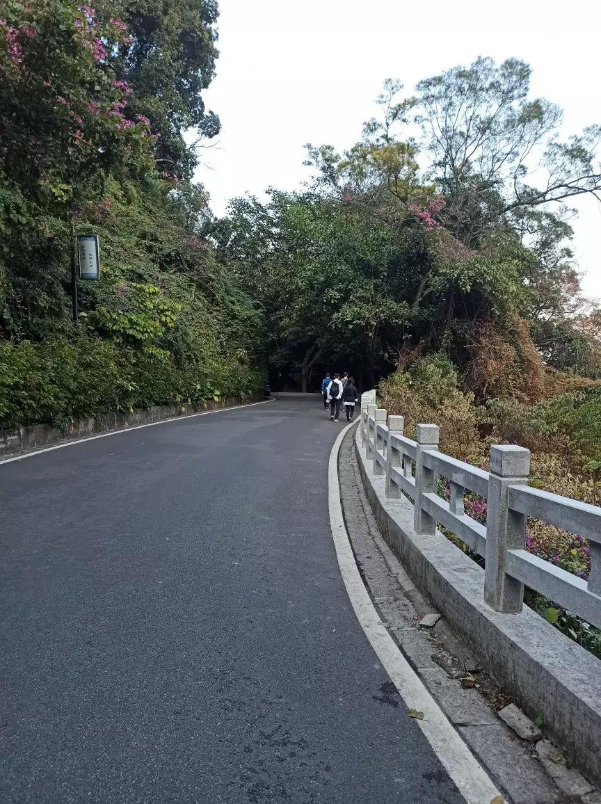 白云山适合徒步吗,一路徒步上白云山