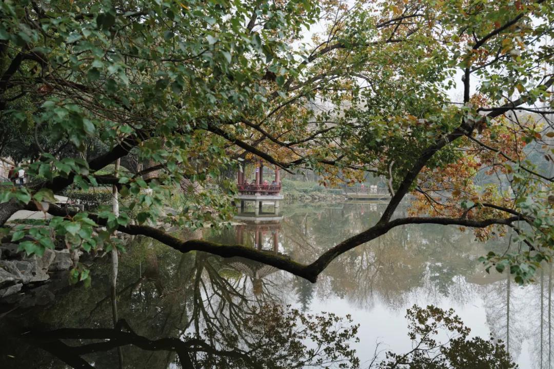 没想到有一天，在菜场被馋哭