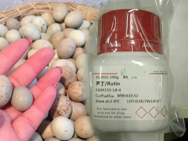 什么是芦丁?芦丁对菌的抑制研究