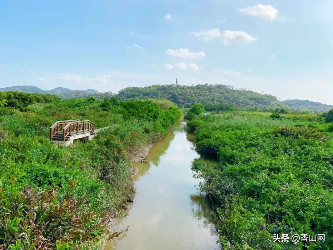 珠海值得去的海岛,珠海最适合游玩的海岛