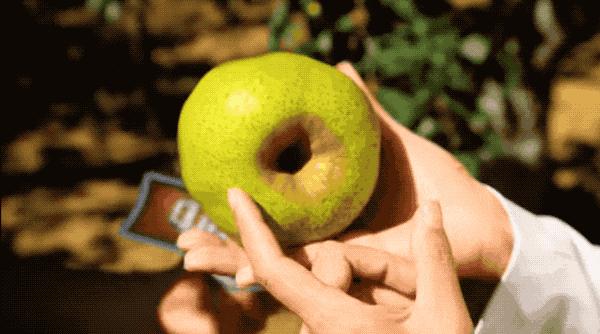 梨子中间只有一处是褐色的,梨子里面有褐色斑点是什么原因