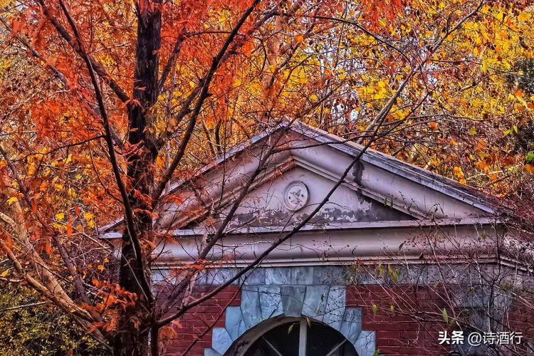 又入冬了还有遗憾吗,又到了瑟瑟发抖的季节