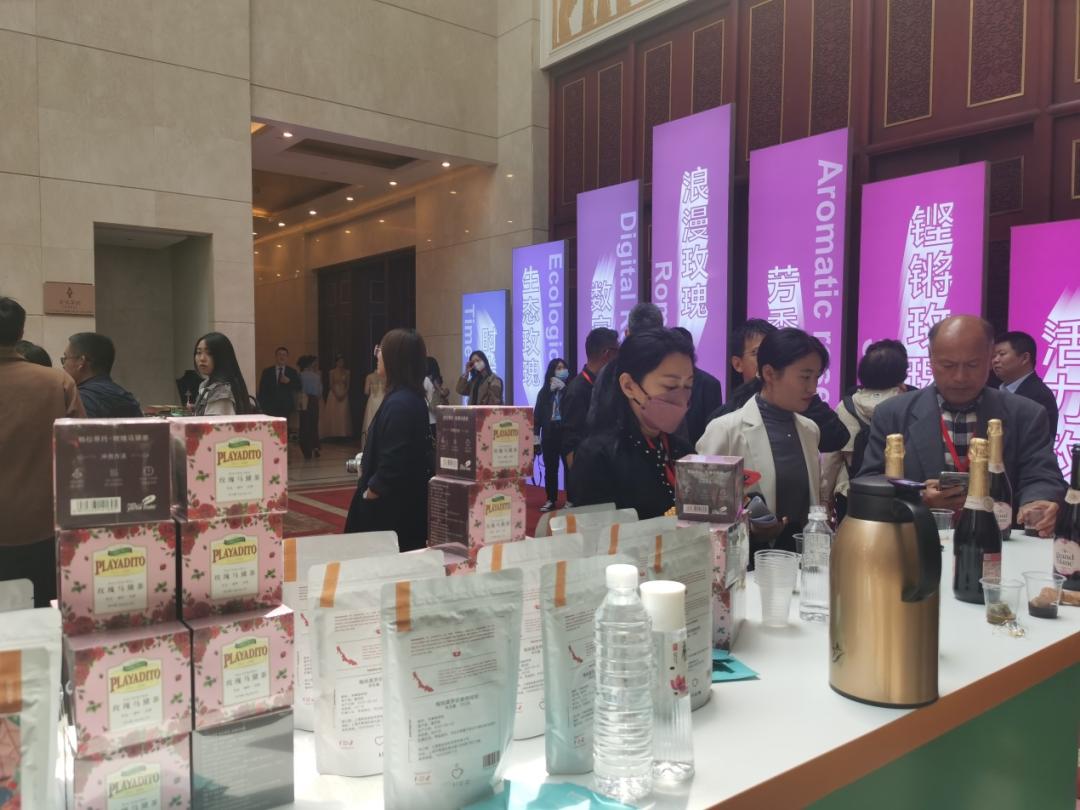 平阴玫瑰博览会门票,2019平阴玫瑰产业博览会