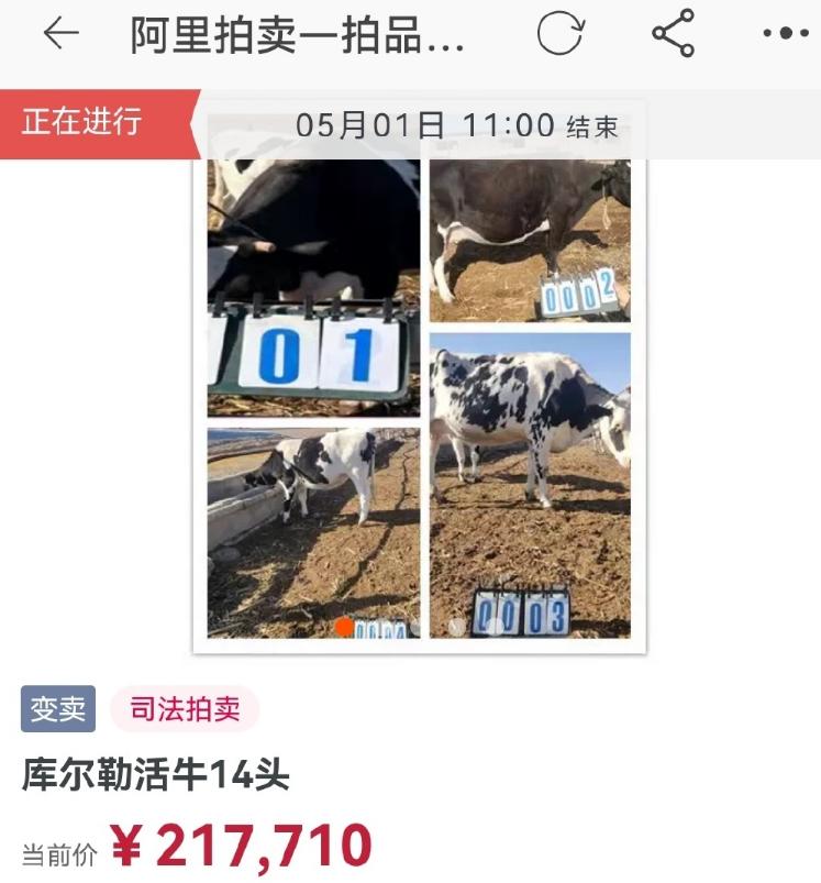 如何在闲鱼正确的捡漏,在闲鱼如何捡漏不被骗