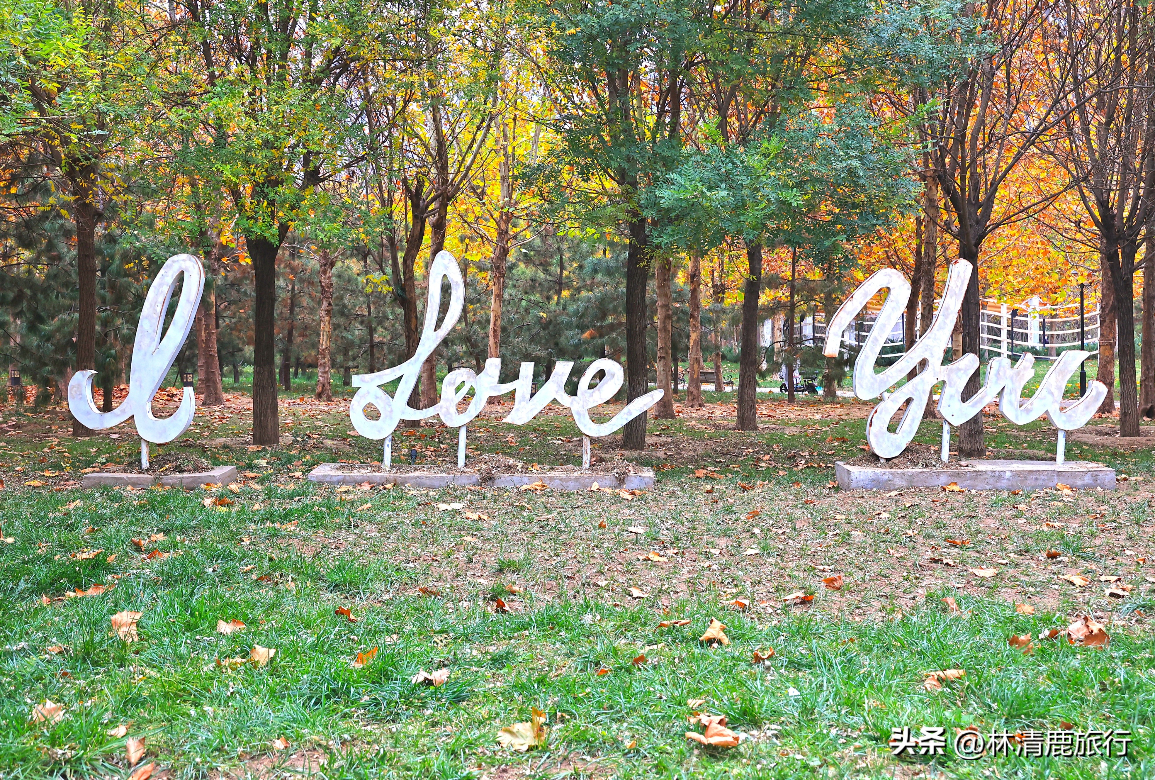 郑州哪个公园有火车,郑州有铁轨的公园