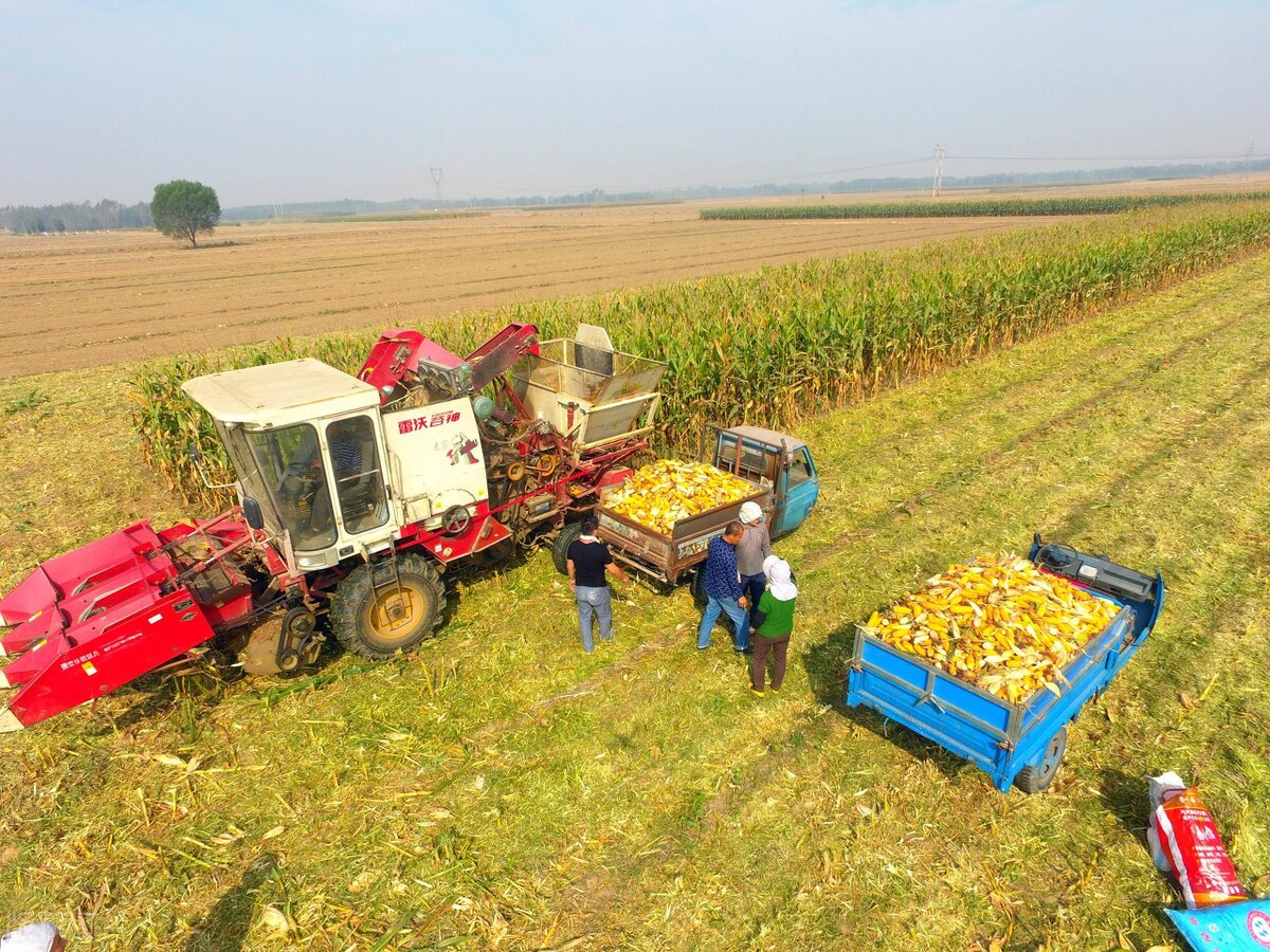 粮食补贴款没到账该找谁要,粮食补贴没到账怎么办