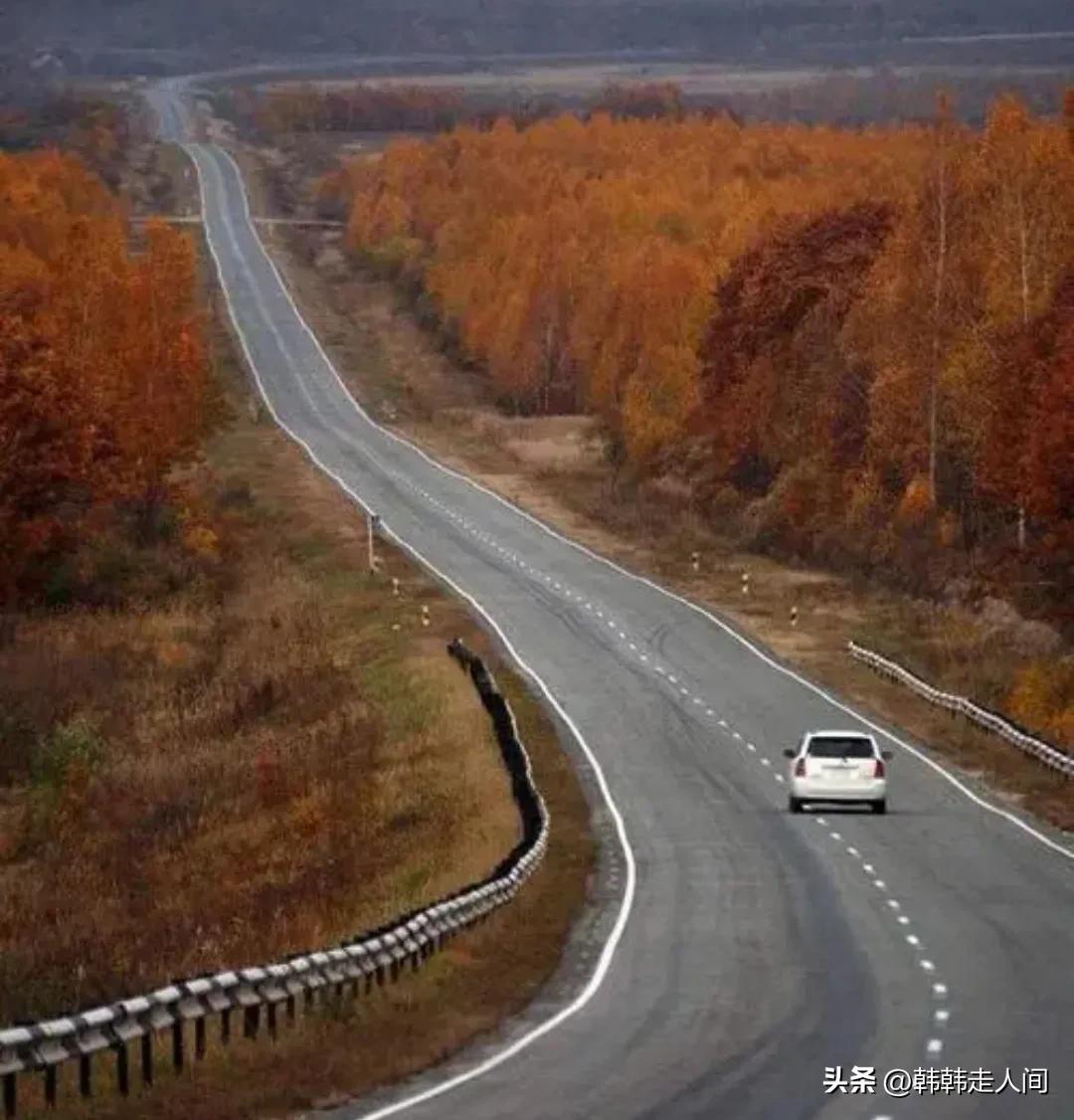 俄罗斯西伯利亚大铁路选择的原因,关于俄罗斯的故事