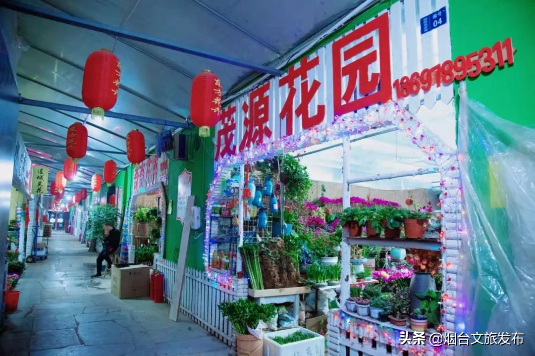 烟台祥和花鸟市场,烟台花鸟市场