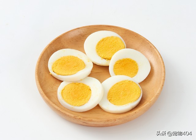 金毛在家里养总掉毛有什么好办法,穷人养3个多月的金毛最好的方法