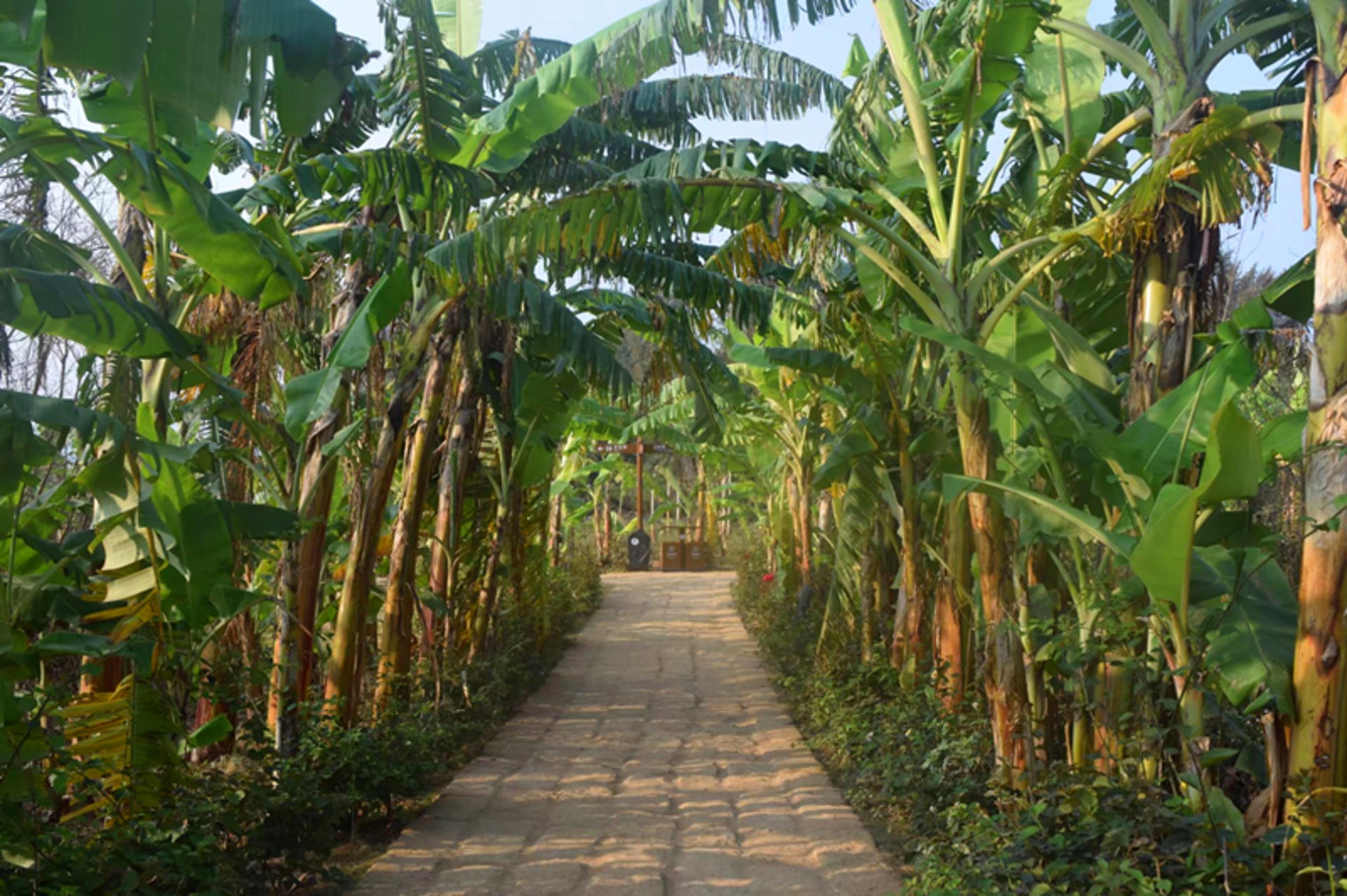 地图迷穷游中国之北海,穷游北海怎么玩