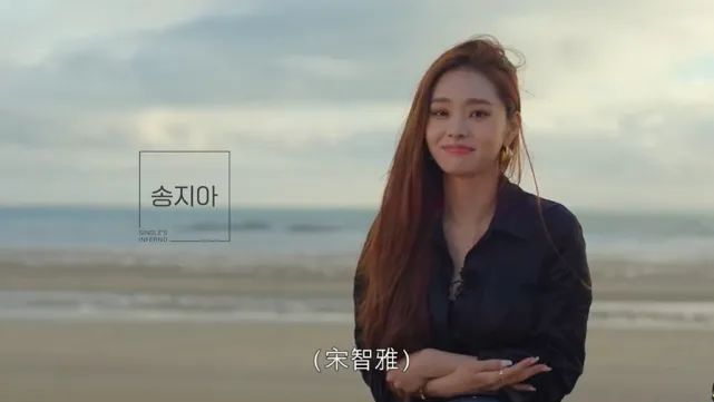 没有选秀的2022，爆款综艺花落谁家？