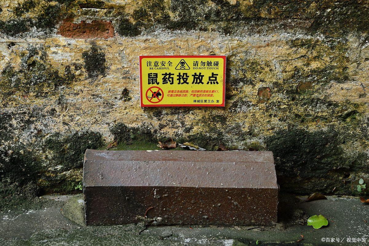 绝对不能给狗吃的东西,绝对不能给狗狗吃的食物海鲜