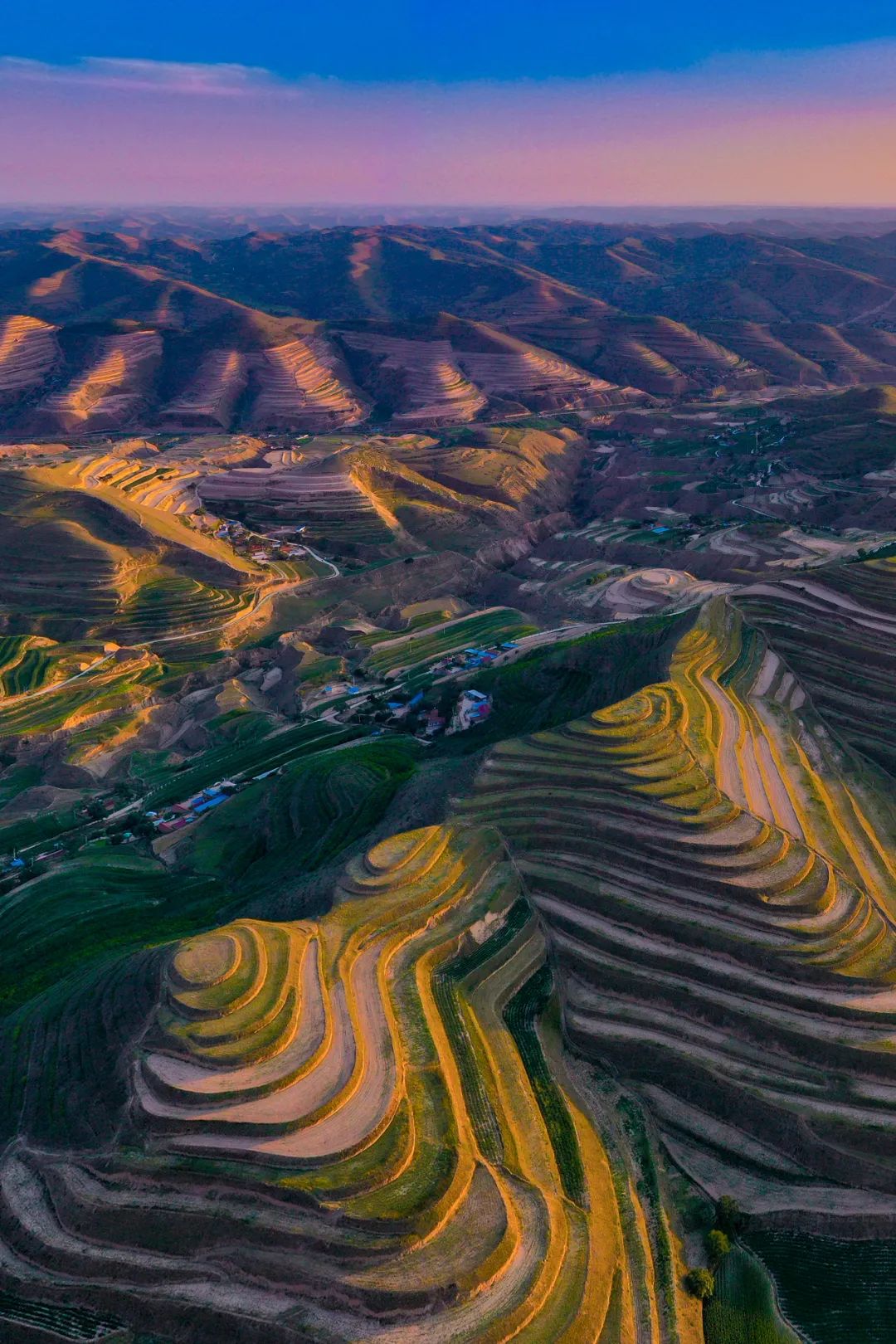 甘肃人一年四季都吃面为什么不胖,甘肃吃米还是面