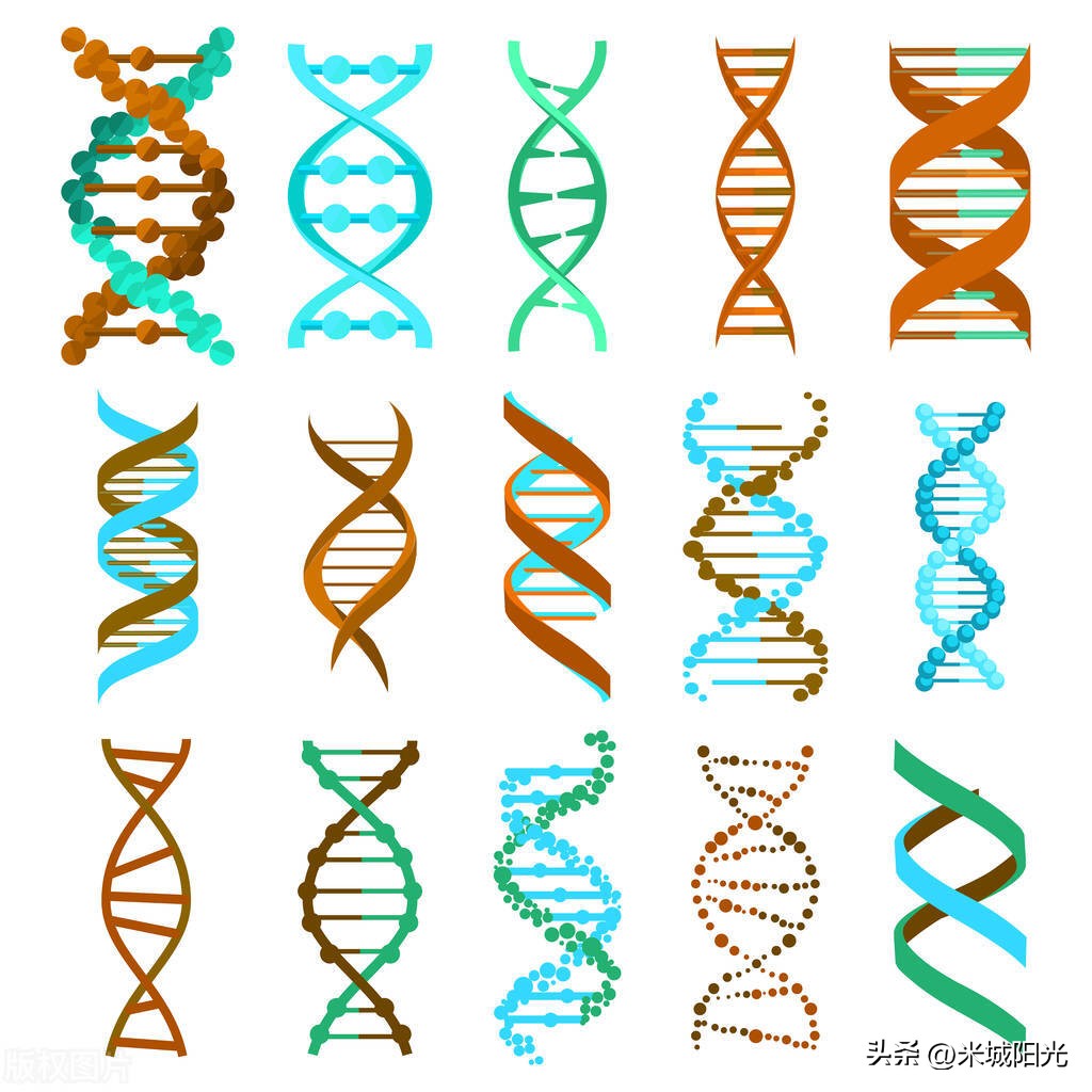 遗传学证实生男生女,生男生女到底是由什么原因决定的