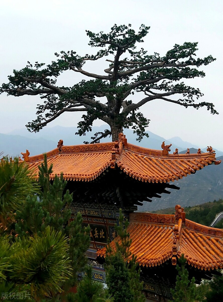 山西恒山悬空寺简介,山西恒山风景名胜区