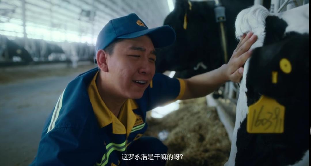 靠养牛致富的人有多少,靠养牛成为千万富翁