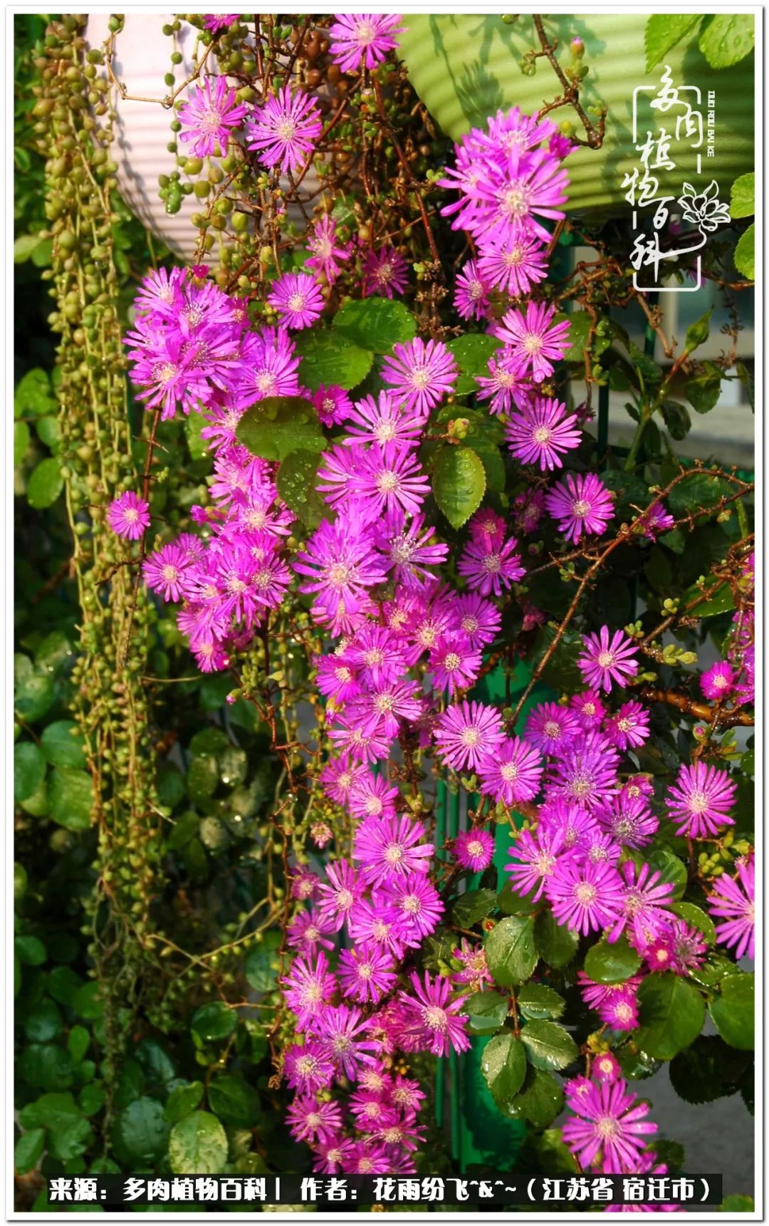 快乐的童年时光视频,回味快乐的童年美好的时光