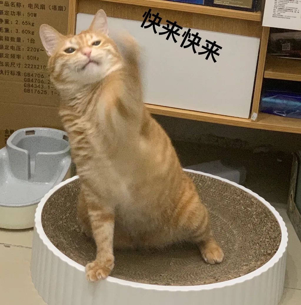 深圳龙岗区购车补贴有人领到了吗,最新深圳购车补贴一览表