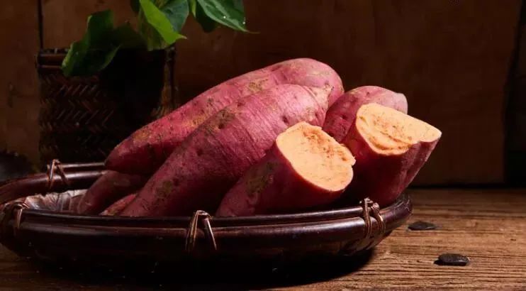 夜读散文流淌在岁月中的甜蜜,冬日夜读散文随笔