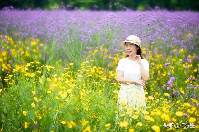 老年摄影拍照技巧,老年人像摄影摆姿技巧大全