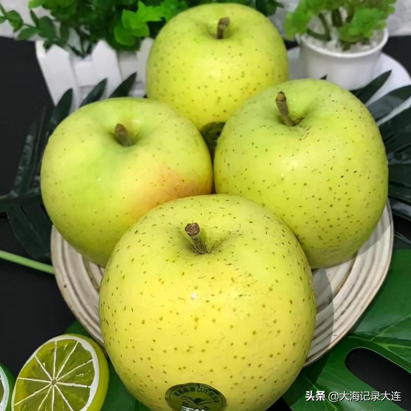 瓦房店苹果有名吗,瓦房店苹果品种大全