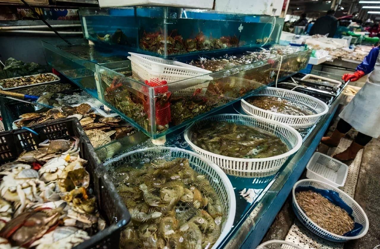 日本核污水排放后还能吃海鲜吗？不吃海鲜能躲避核污水的影响吗？