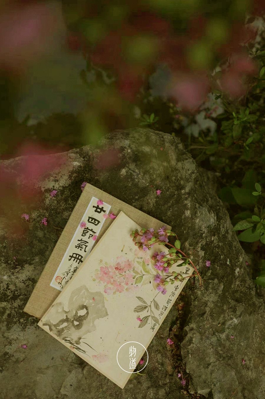 处暑的读音,处暑节气