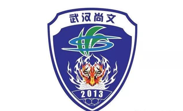 武汉三镇足球队2022赛季名单,武汉三镇足球队直播
