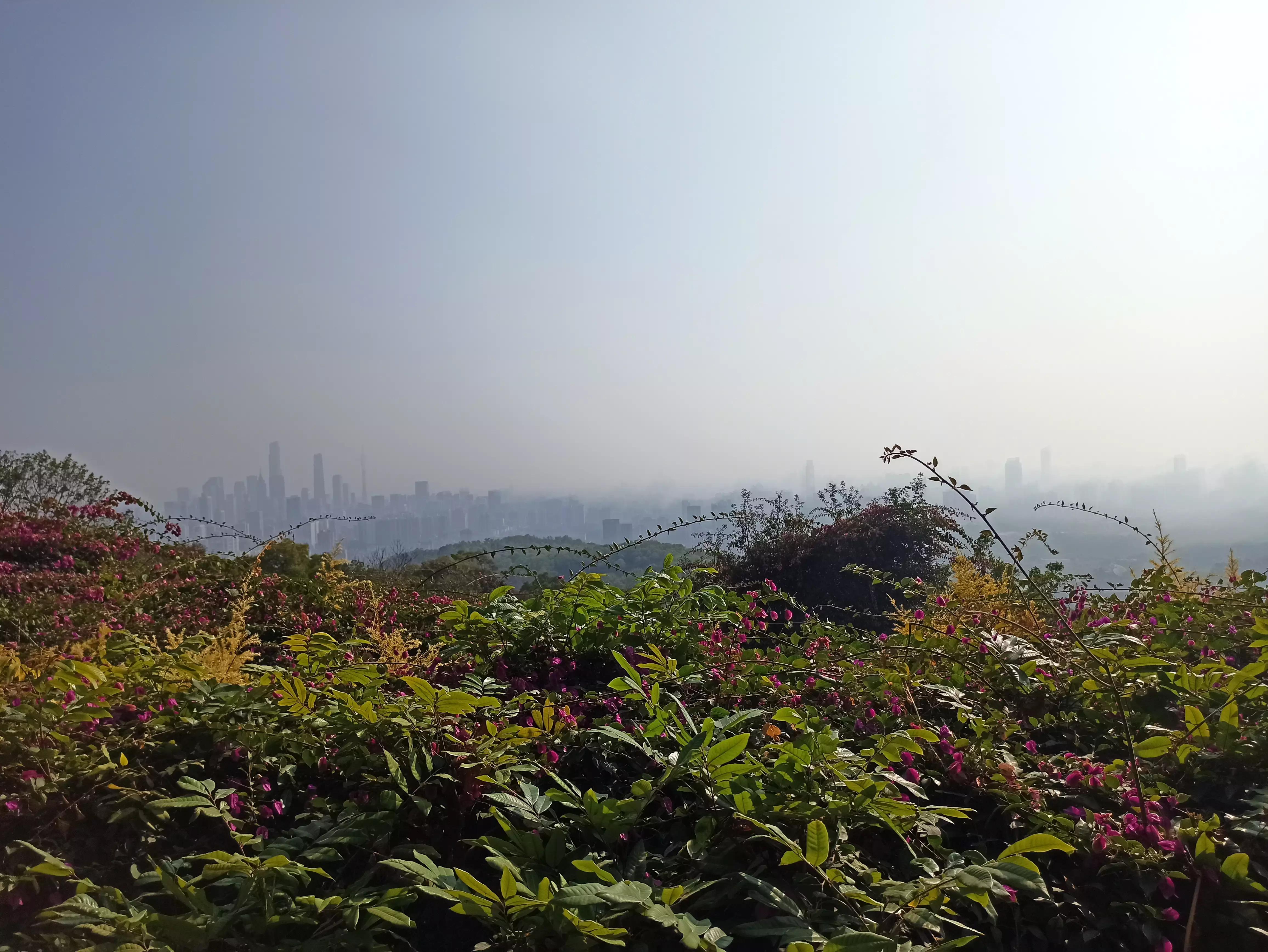 白云山适合徒步吗,一路徒步上白云山