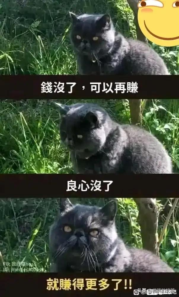 每天笑一笑,每天笑一笑十年少的俗语