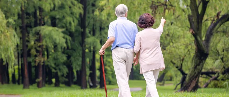 成都新政15条实施时间,成都政策调整一览图