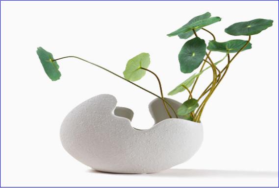 围炉夜话经典语录立身之道,围炉夜话立身之道