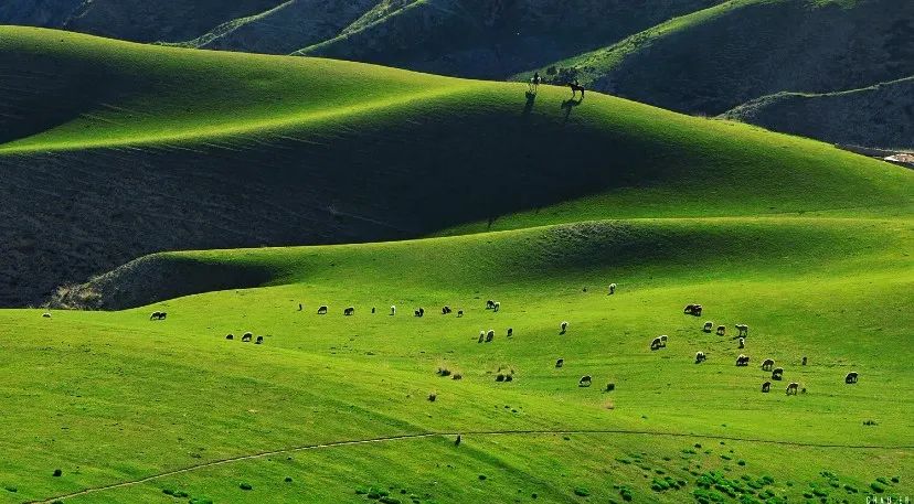 来新疆一定要避开的坑,新疆旅行一定要看的避坑建议