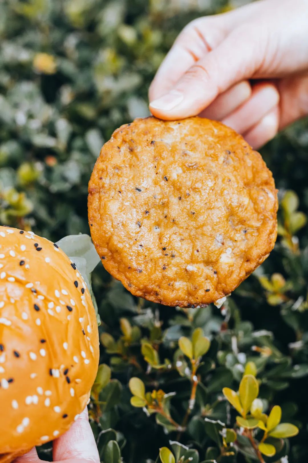 华莱士汉堡炸鸡薯条可乐鸡翅,华莱士为什么只有炸鸡汉堡